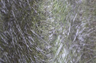 West Marden fibreglass roof work